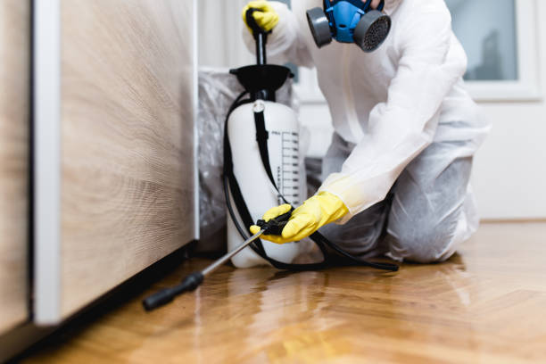 Best Best Pest Control Companies  in Fort Lee, NJ