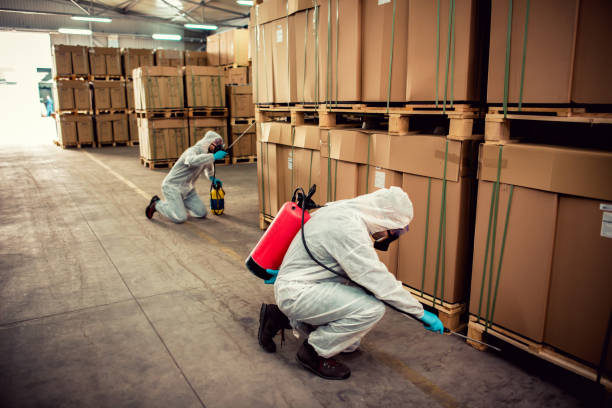 Reliable Fort Lee, NJ Pest Control Solutions