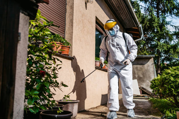 Best Pest Inspection Near Me  in Fort Lee, NJ