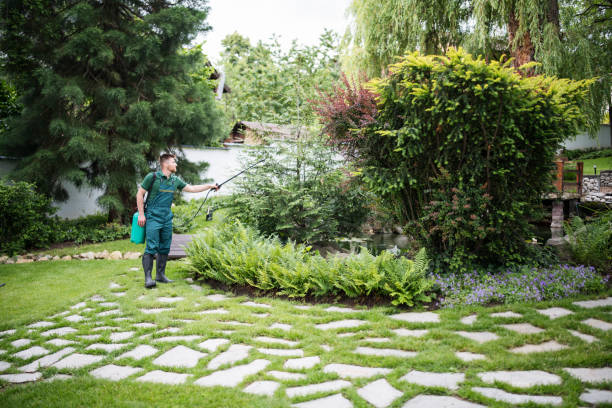 Bird Control in Fort Lee, NJ