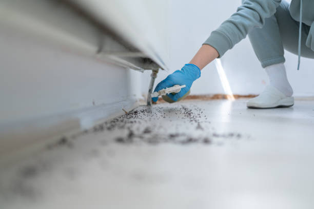 Best Wasp Removal Services  in Fort Lee, NJ